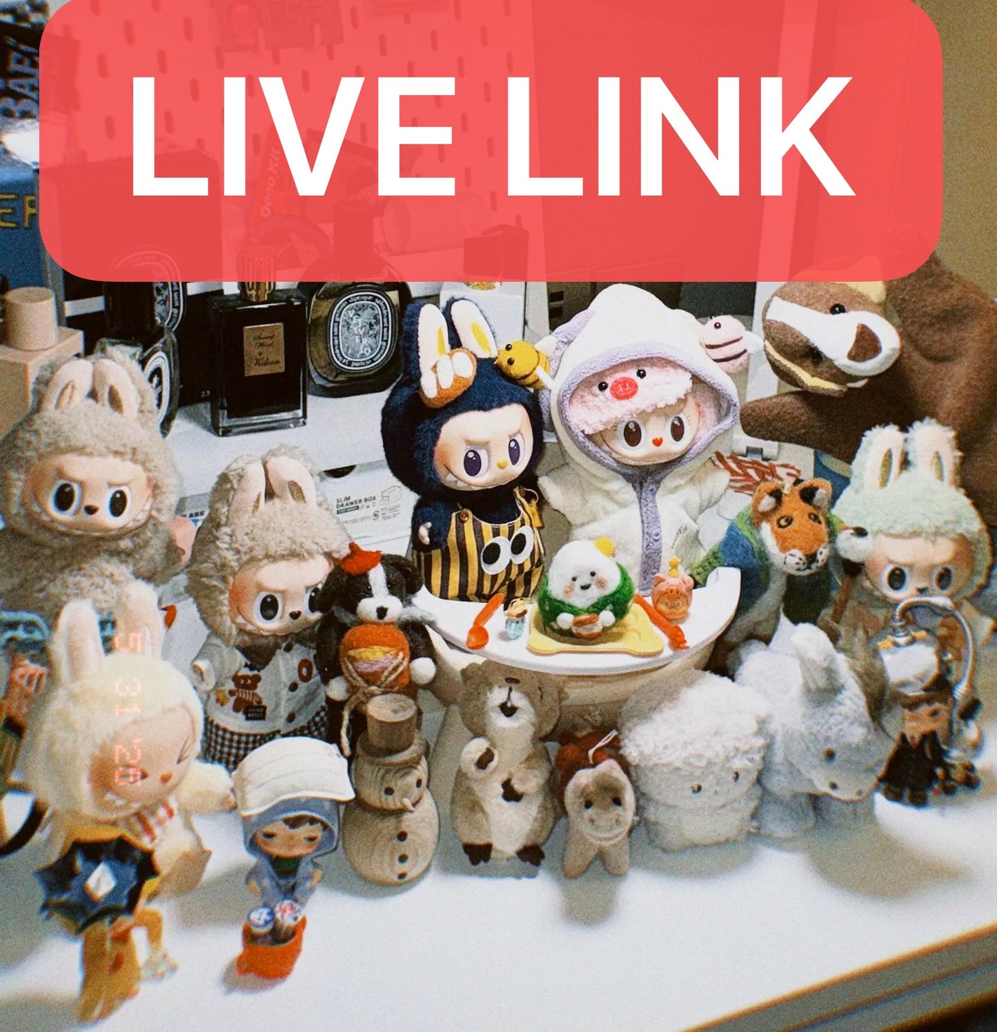 LIVE LINK(Claim on live pay here）